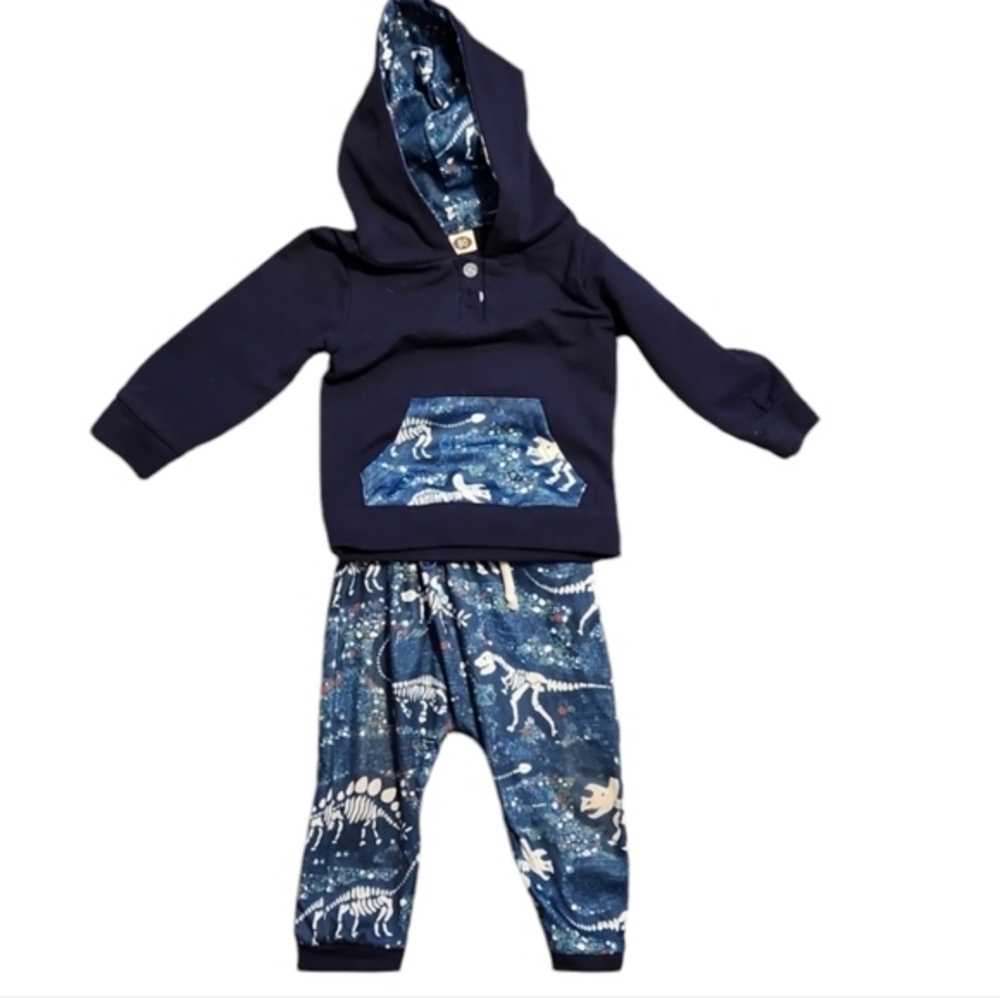 Boys Two Piece Matching‎ Dinosaur Jogging Suit